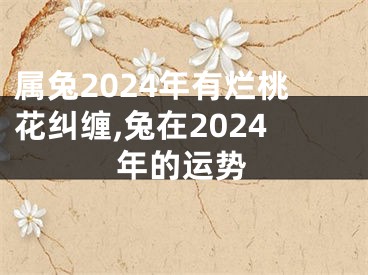 属兔2024年有烂桃花纠缠,兔在2024年的运势