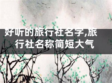 好听的旅行社名字,旅行社名称简短大气