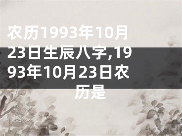 农历1993年10月23日生辰八字,1993年10月23日农历是