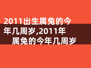 2011出生属兔的今年几周岁,2011年属兔的今年几周岁