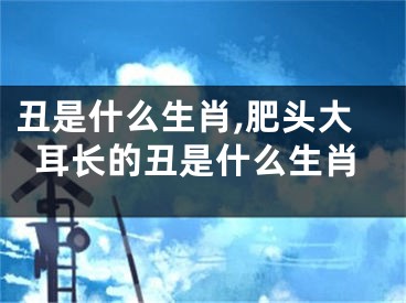 丑是什么生肖,肥头大耳长的丑是什么生肖