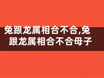 兔跟龙属相合不合,兔跟龙属相合不合母子