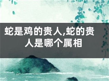 蛇是鸡的贵人,蛇的贵人是哪个属相