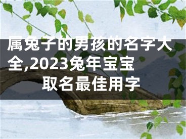 属兔子的男孩的名字大全,2023兔年宝宝取名最佳用字