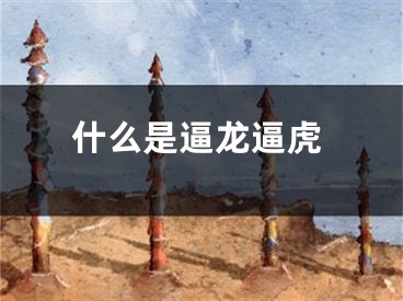 什么是逼龙逼虎