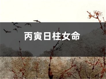 丙寅日柱女命