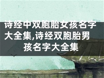 诗经中双胞胎女孩名字大全集,诗经双胞胎男孩名字大全集