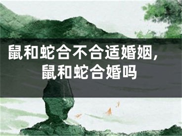 鼠和蛇合不合适婚姻,鼠和蛇合婚吗