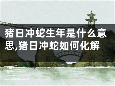 猪日冲蛇生年是什么意思,猪日冲蛇如何化解