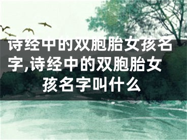 诗经中的双胞胎女孩名字,诗经中的双胞胎女孩名字叫什么
