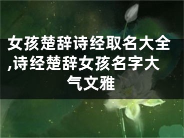 女孩楚辞诗经取名大全,诗经楚辞女孩名字大气文雅