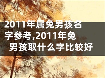 2011年属兔男孩名字参考,2011年兔男孩取什么字比较好