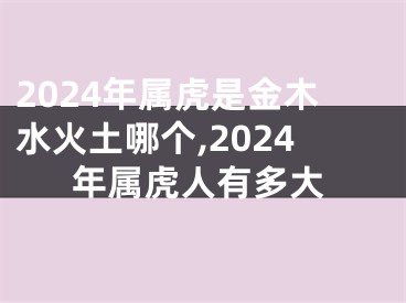 2024年属虎是金木水火土哪个,2024年属虎人有多大