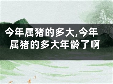 今年属猪的多大,今年属猪的多大年龄了啊