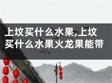 上坟买什么水果,上坟买什么水果火龙果能带