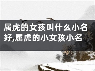属虎的女孩叫什么小名好,属虎的小女孩小名