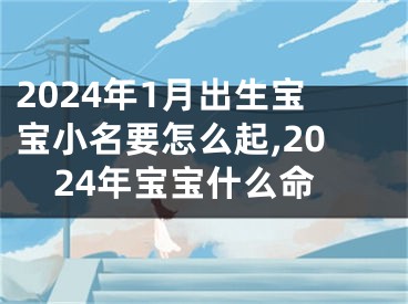2024年1月出生宝宝小名要怎么起,2024年宝宝什么命