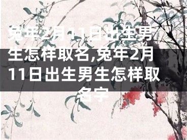 兔年2月11日出生男生怎样取名,兔年2月11日出生男生怎样取名字