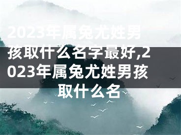 2023年属兔尤姓男孩取什么名字最好,2023年属兔尤姓男孩取什么名