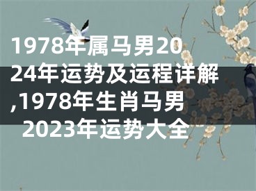 1978年属马男2024年运势及运程详解,1978年生肖马男2023年运势大全