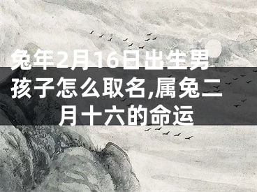 兔年2月16日出生男孩子怎么取名,属兔二月十六的命运