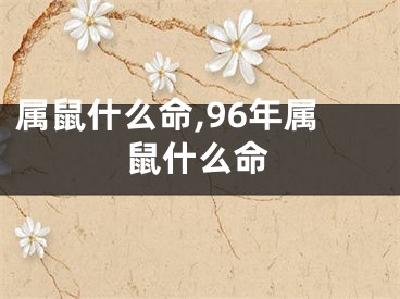 属鼠什么命,96年属鼠什么命
