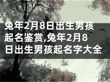 兔年2月8日出生男孩起名鉴赏,兔年2月8日出生男孩起名字大全