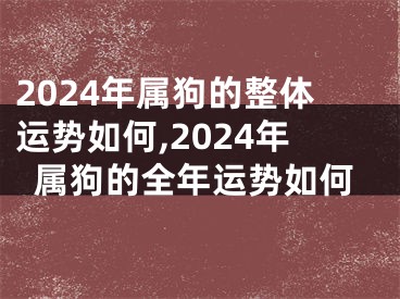 2024年属狗的整体运势如何,2024年属狗的全年运势如何