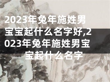 2023年兔年施姓男宝宝起什么名字好,2023年兔年施姓男宝宝起什么名字