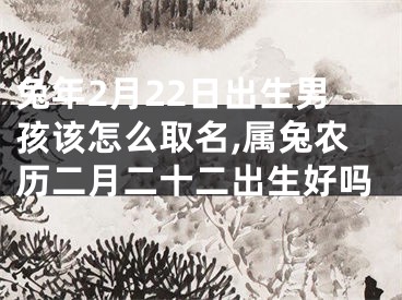 兔年2月22日出生男孩该怎么取名,属兔农历二月二十二出生好吗