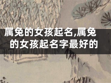 属兔的女孩起名,属兔的女孩起名字最好的