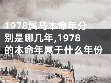 1978属马本命年分别是哪几年,1978的本命年属于什么年份