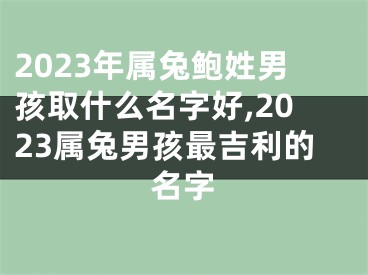 2023年属兔鲍姓男孩取什么名字好,2023属兔男孩最吉利的名字