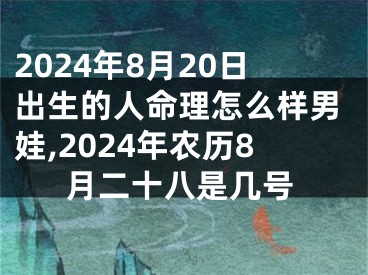 2024年8月20日出生的人命理怎么样男娃,2024年农历8月二十八是几号