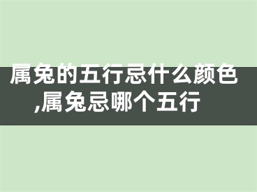 属兔的五行忌什么颜色,属兔忌哪个五行