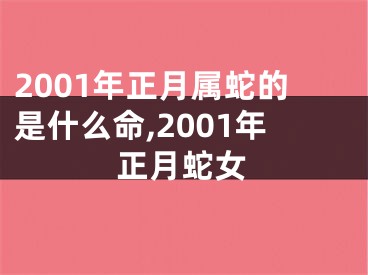 2001年正月属蛇的是什么命,2001年正月蛇女