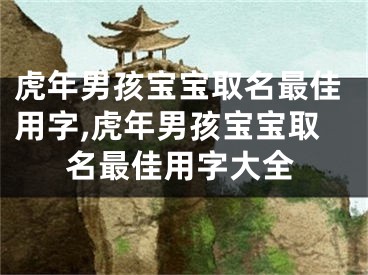 虎年男孩宝宝取名最佳用字,虎年男孩宝宝取名最佳用字大全