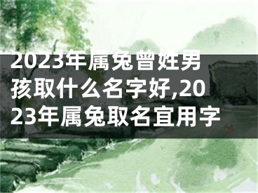 2023年属兔曾姓男孩取什么名字好,2023年属兔取名宜用字