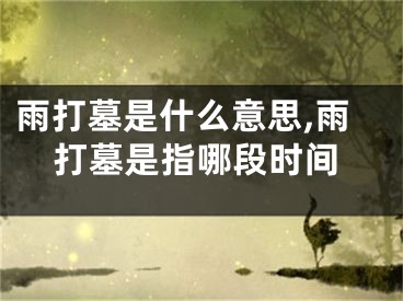 雨打墓是什么意思,雨打墓是指哪段时间
