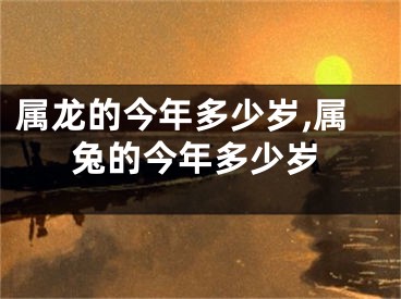 属龙的今年多少岁,属兔的今年多少岁