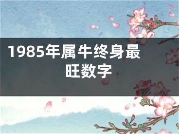 1985年属牛终身最旺数字