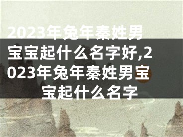 2023年兔年秦姓男宝宝起什么名字好,2023年兔年秦姓男宝宝起什么名字