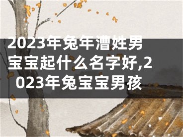 2023年兔年漕姓男宝宝起什么名字好,2023年兔宝宝男孩