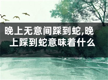 晚上无意间踩到蛇,晚上踩到蛇意味着什么