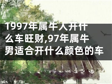 1997年属牛人开什么车旺财,97年属牛男适合开什么颜色的车