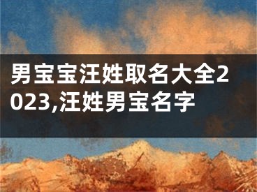 男宝宝汪姓取名大全2023,汪姓男宝名字
