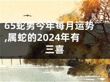 65蛇男今年每月运势,属蛇的2024年有三喜