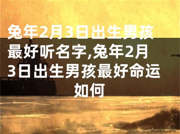 兔年2月3日出生男孩最好听名字,兔年2月3日出生男孩最好命运如何