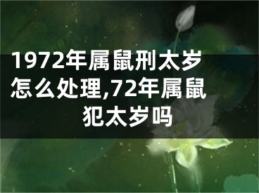 1972年属鼠刑太岁怎么处理,72年属鼠犯太岁吗