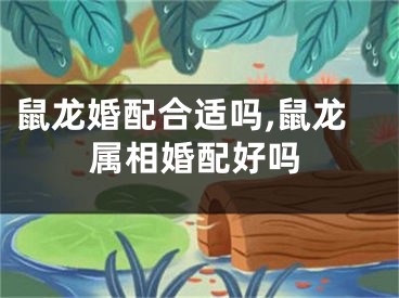 鼠龙婚配合适吗,鼠龙属相婚配好吗